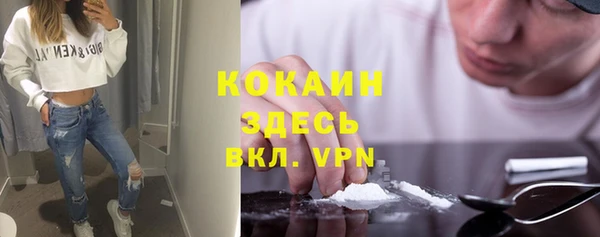 винт Верея
