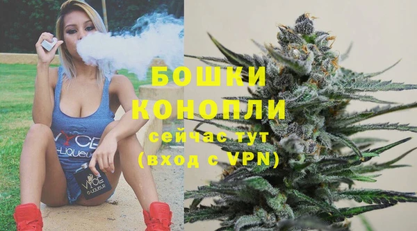 винт Верея