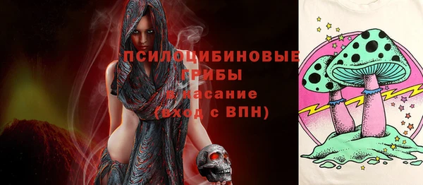 винт Верея