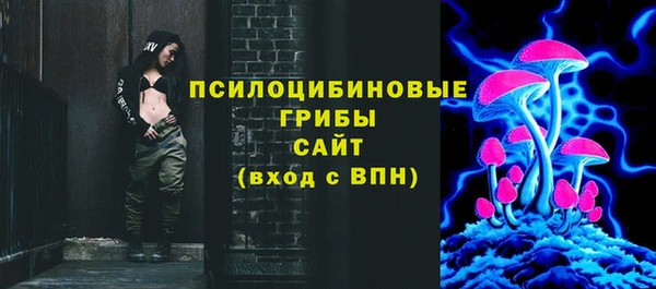 винт Верея